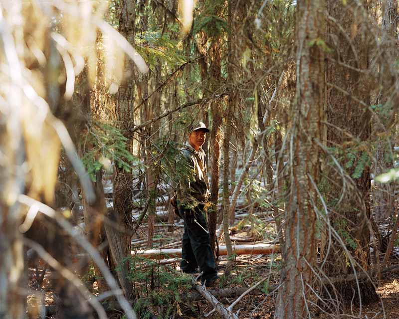 Eirik Johnson, Somphone picking matsutake mushrooms among the pine trees, Deschutes National Forest, Oregon, 2011