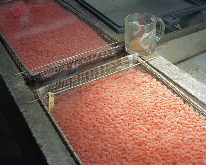 Eirik Johnson, Sol Duc River salmon hatchery, Washington, 2006