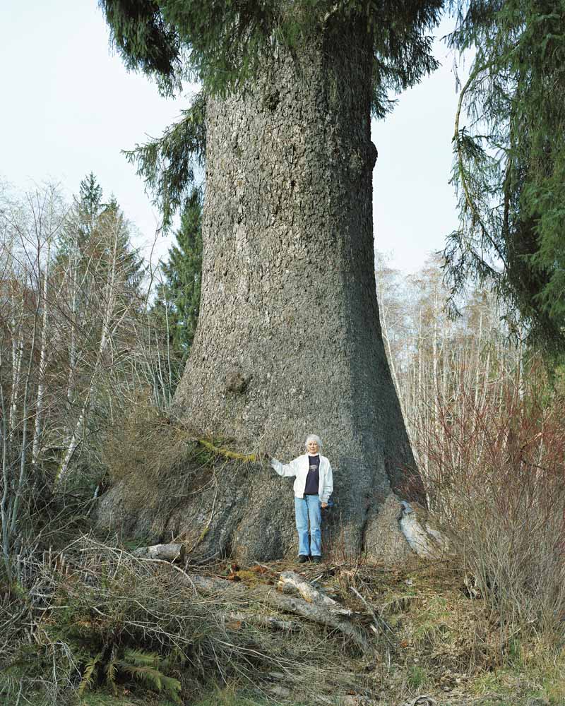 Eirik Johnson, Missy beneath her 600 year-old Spruce, Hoh River, Washington, 2007