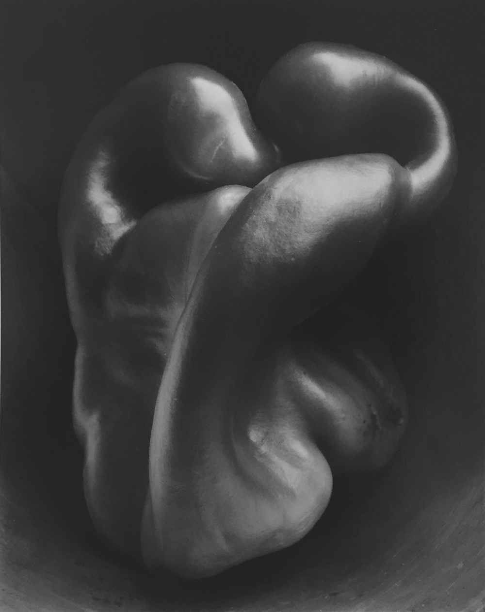 Edward Weston, Pepper, 1930, gelatin silver print, 9.5 x 7.5 inches, signed by Cole Weston, price on request