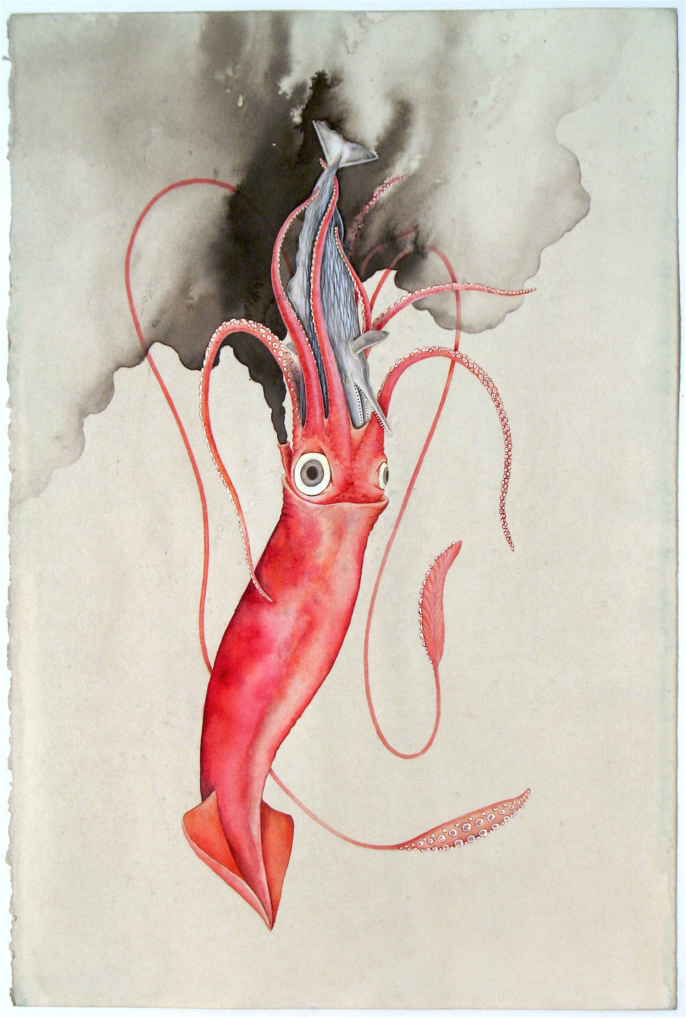 Justin Gibbens, The Squid and the Whale, 2017, watercolor, ink on paper, 23 x 15 inches, $1800.