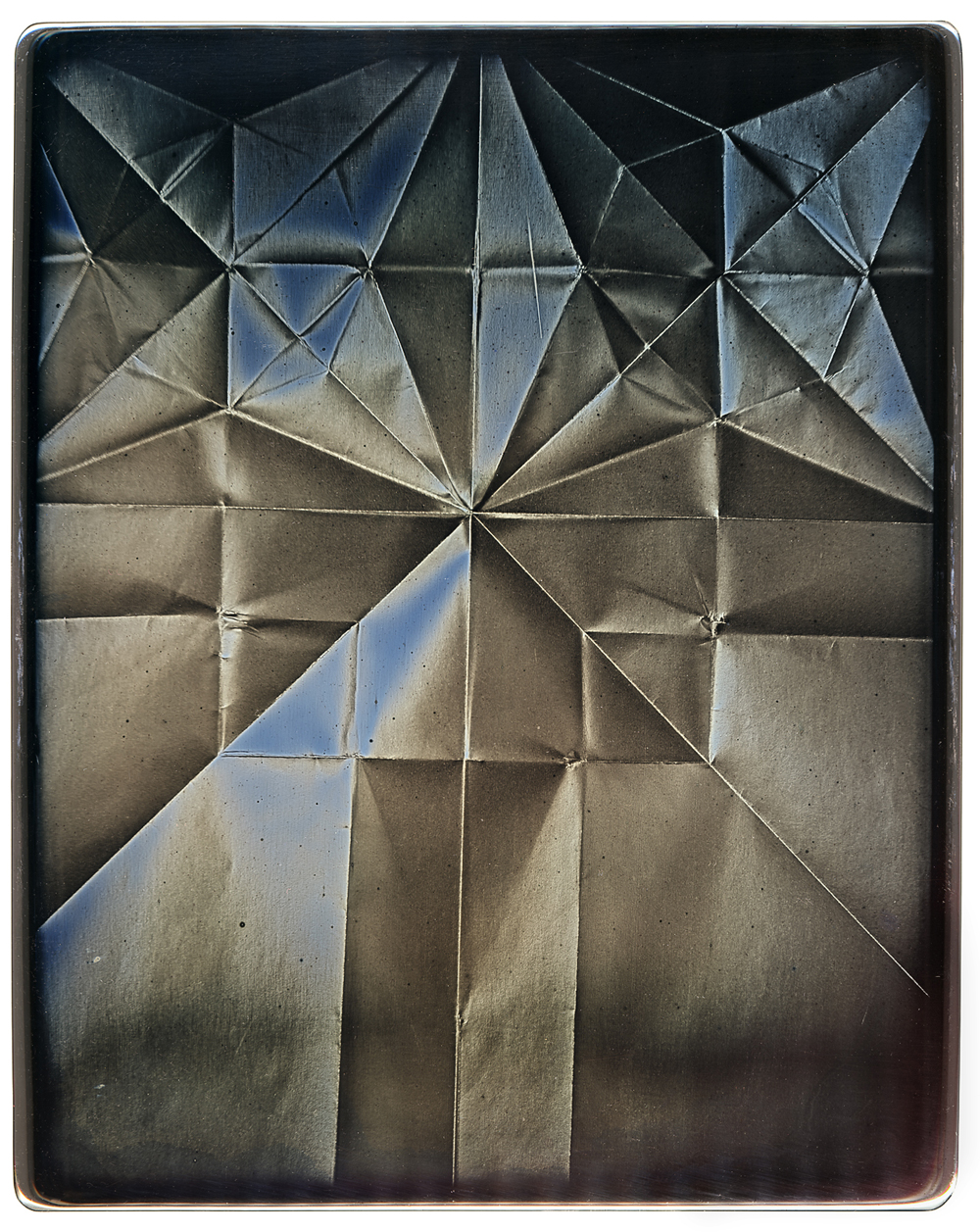 Eirik Johnson / Daniel Carrillo, Albatross, 2018, daguerreotype, 10 x 8 inches, $5000.