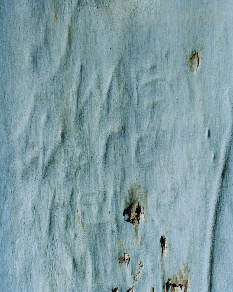 Eirik Johnson, WE WERE HERE, 2015, archival pigment print, 20 x 16 inches, edition of 5, $2950.