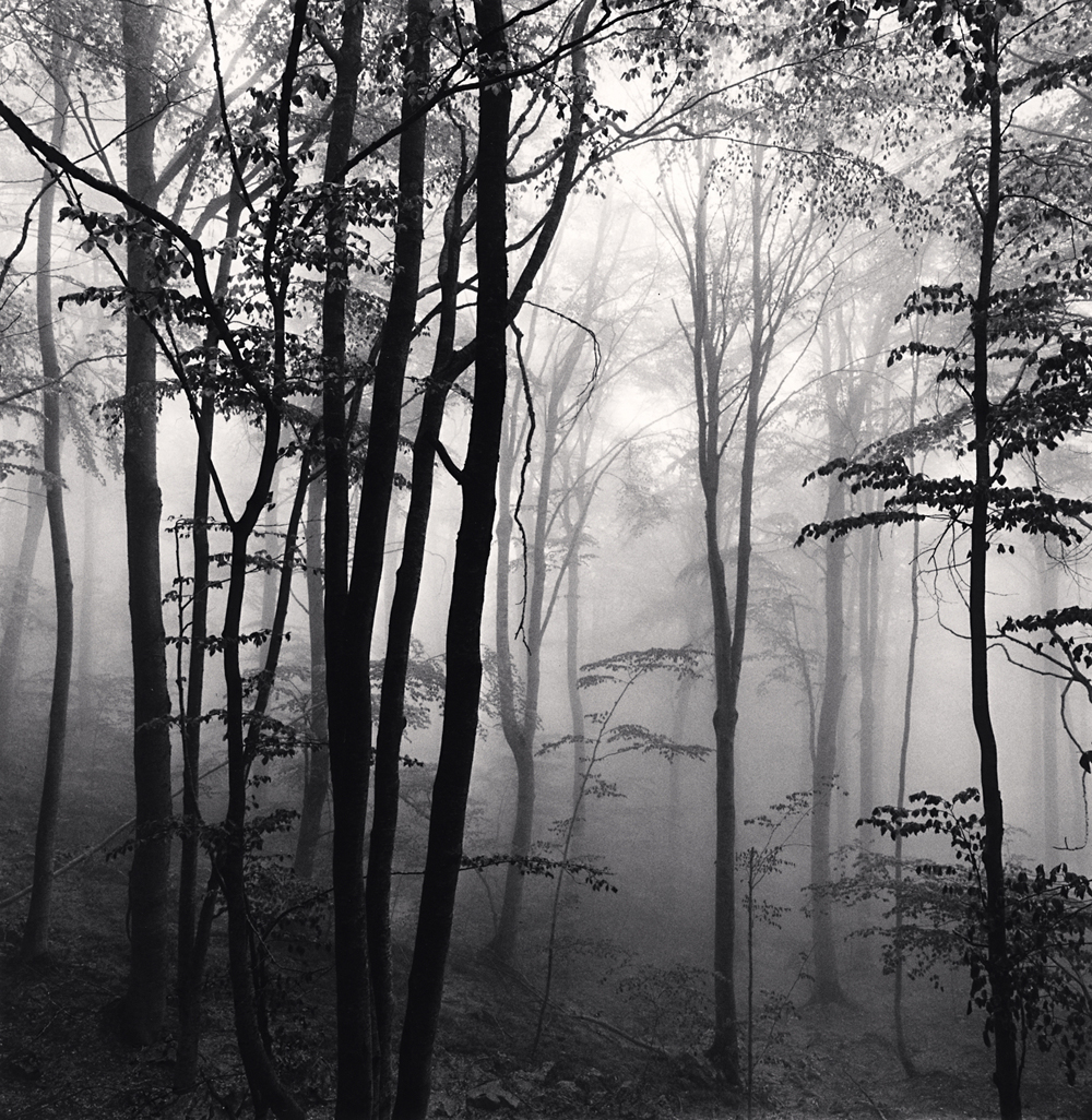 Michael Kenna, Forest Mist, Study 2, Rigopiano, Abruzzo, Italy. 2016