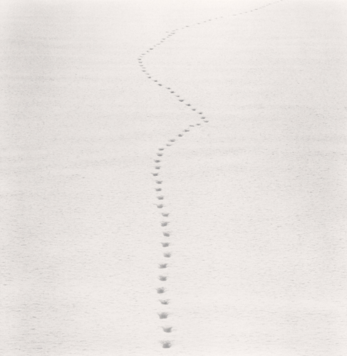 Michael Kenna, Tracks in Snow, Biei, Hokkaido, Japan. 2013