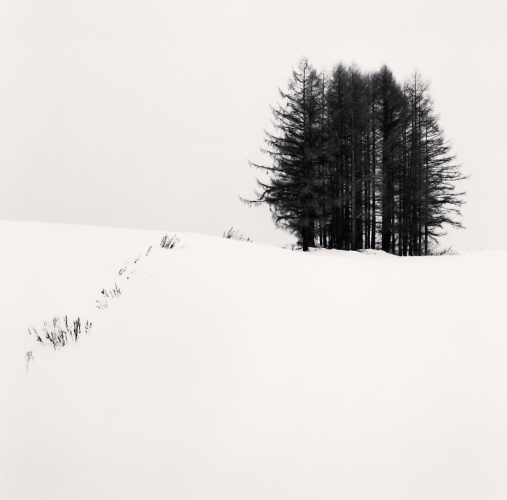 Michael Kenna, Cold Landscape, Sanai, Hokkaido, Japan. 2004