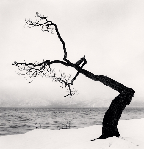 Michael Kenna, Kussharo Lake Tree, Study 15, Kotan, Hokkaido, Japan. 2009