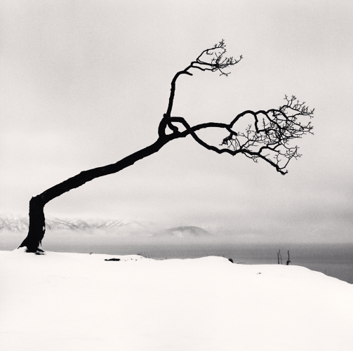 Michael Kenna, Kussharo Lake Tree, Study 7, Kotan, Hokkaido, Japan. 2007