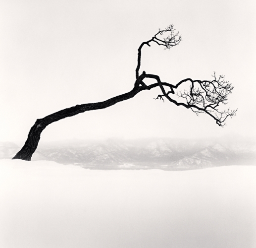 Michael Kenna, Kussharo Lake Tree, Study 9, Kotan, Hokkaido, Japan, 2009