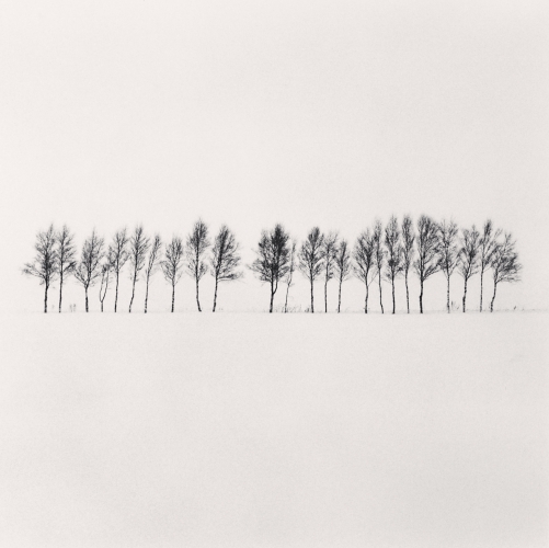 Michael Kenna, Twenty Four Trees, Abashiri, Hokkaido, Japan. 2005