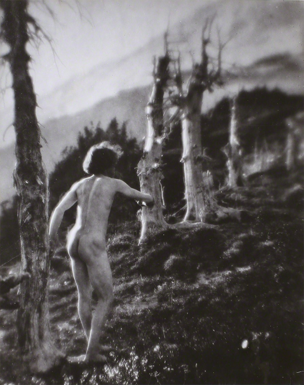 Imogen Cunningham, Roi on the Move, 1915, signed gelatin silver print, 10 x 8 inches, price on request