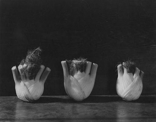 Imogen Cunningham, Three Vegetables (Fennel), 1946,signed gelatin silver print, 8 x 10 inches, price on request