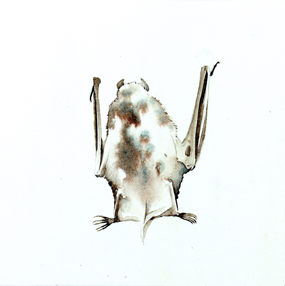 Justin Gibbens, Bat i, 2020, watercolor, ink on paper mounted on panel, 6 x 6 x 7/8 inches, (SOLD)