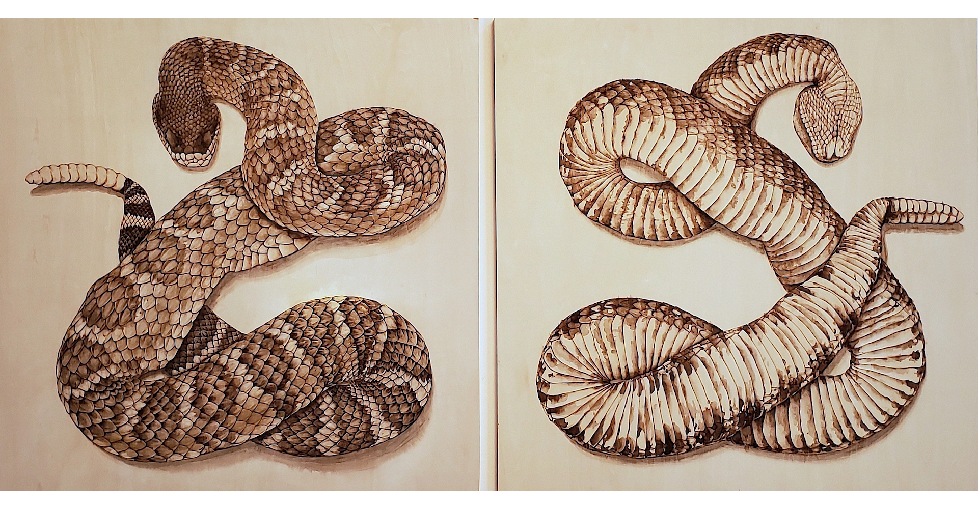 Justin Gibbens, Don’t Tread on They/Them, 2021, watercolor, ink, snake blood on panel, 36 x 73 x 1.5 inches (each panel 36 x 36), $8500