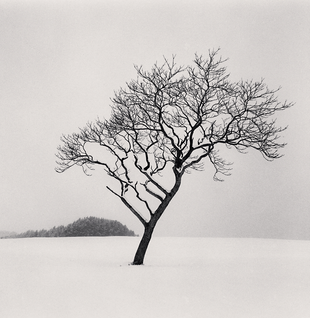 Michael Kenna, Blackstone Hill Tree, Hokkaido, Japan, 2020