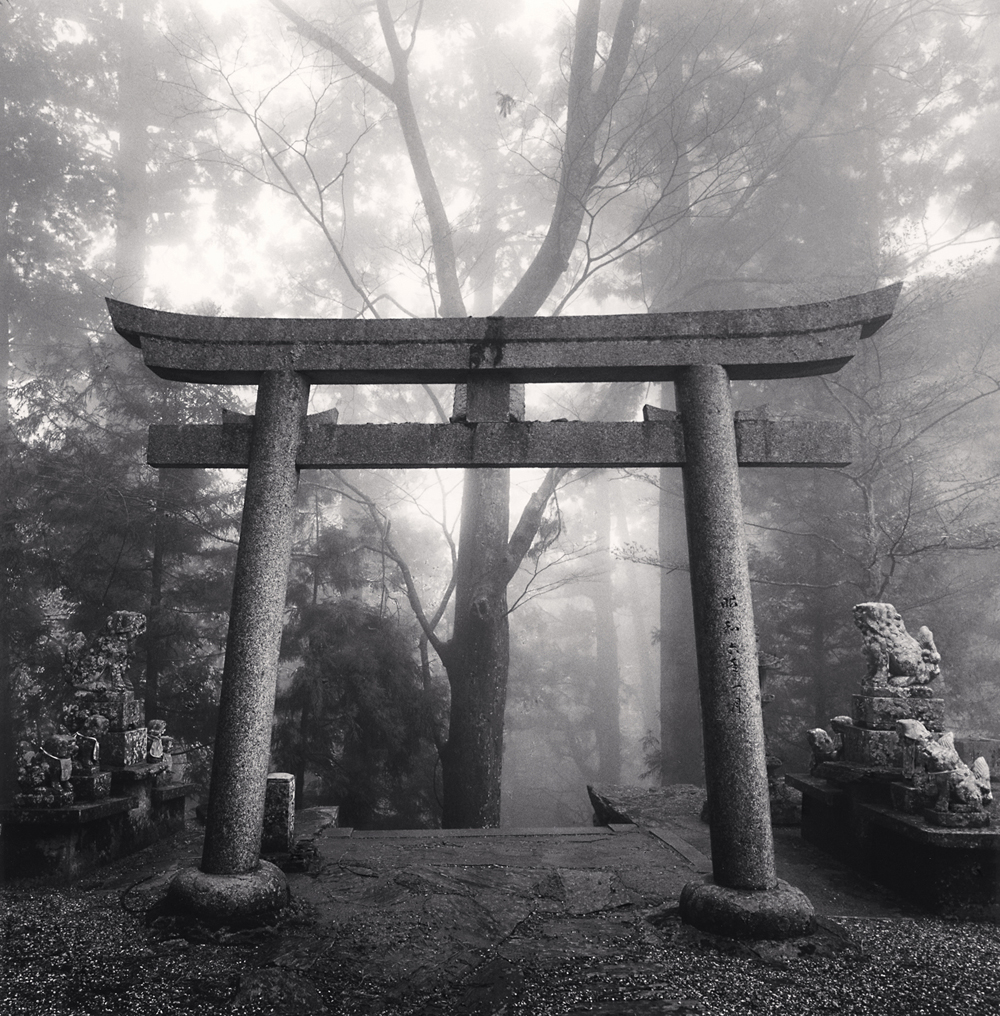 Michael Kenna, Forest Torii Gate, Shosanji, Tokushima, Shikoku, Japan, 2010