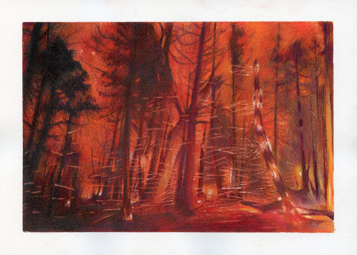Samantha Scherer, Wildfire, 2021, colored pencil on paper, 5 x 7 inches $550.